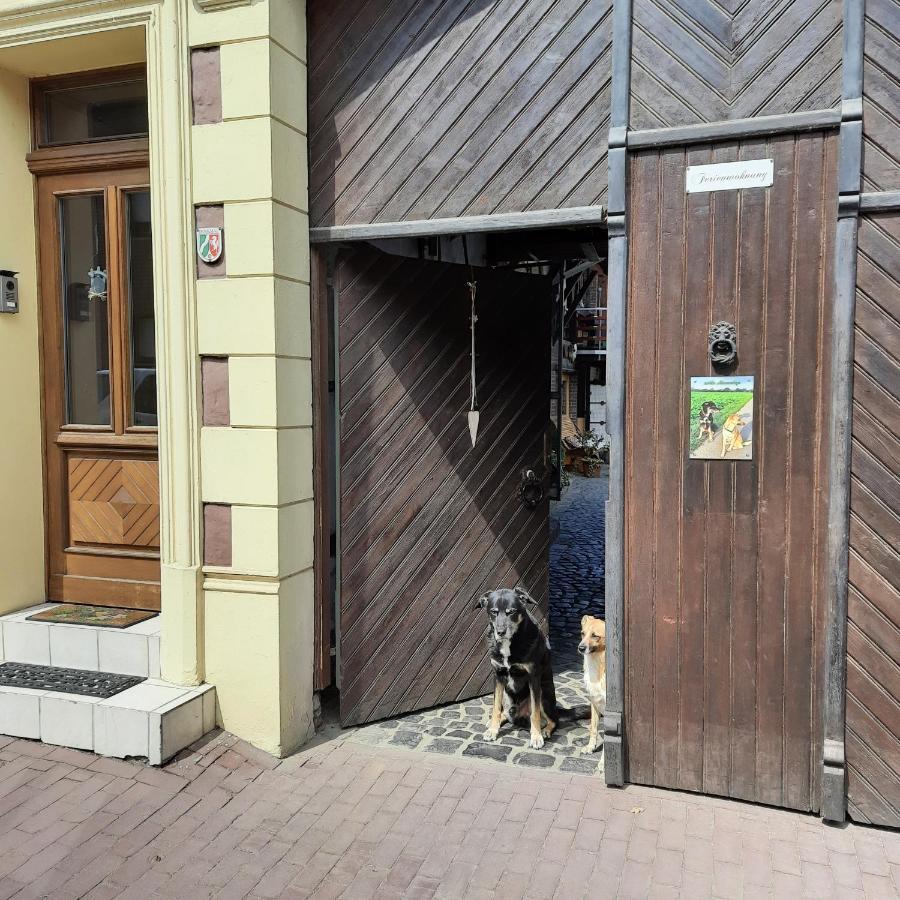Ferienwohnung Hahnenblick Waldfeucht Exterior foto