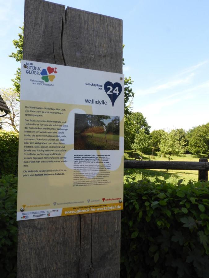 Ferienwohnung Hahnenblick Waldfeucht Exterior foto